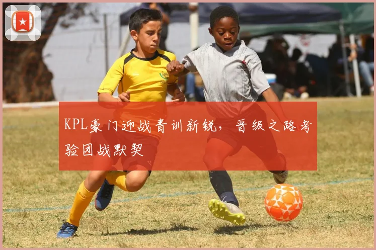 KPL豪门迎战青训新锐，晋级之路考验团战默契